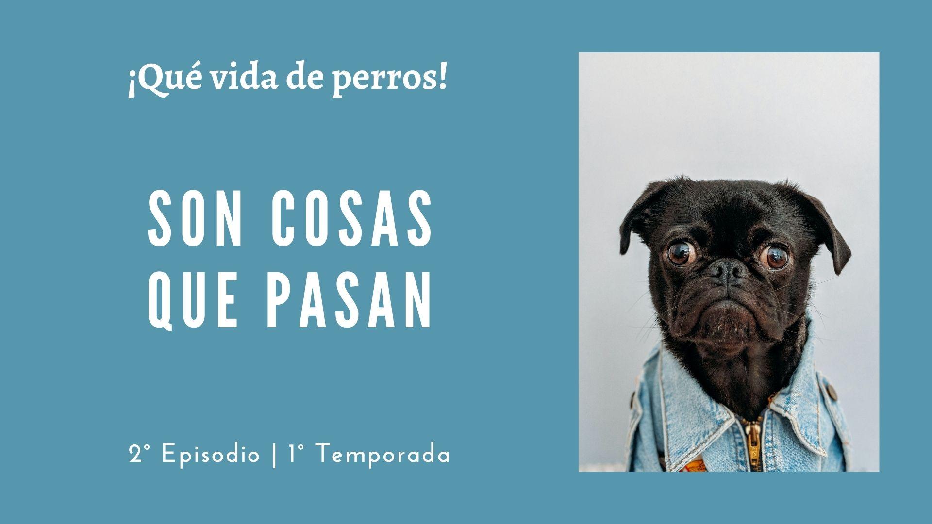 02 | Son cosas que pasan