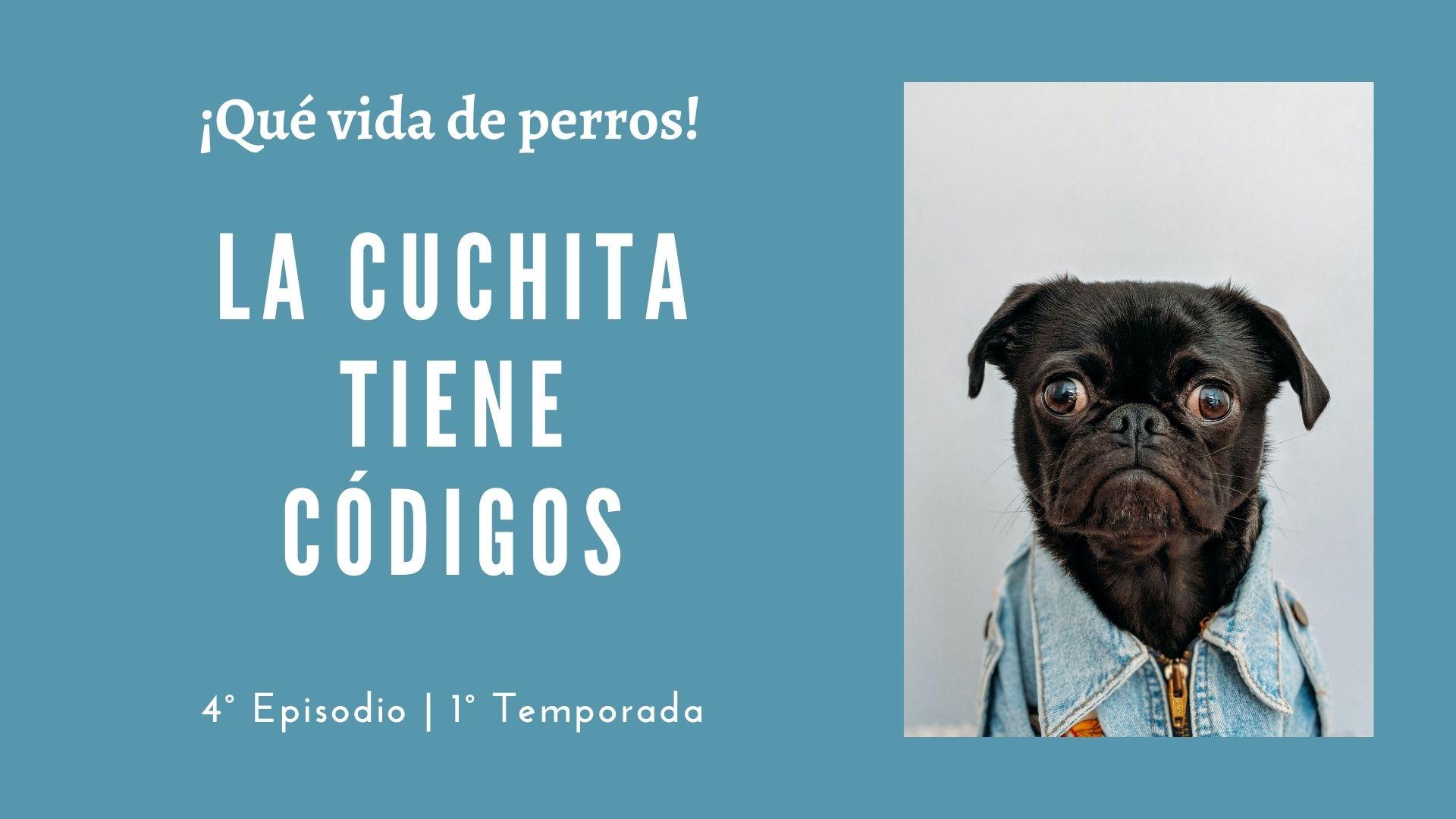 04 | La cuchita tiene códigos