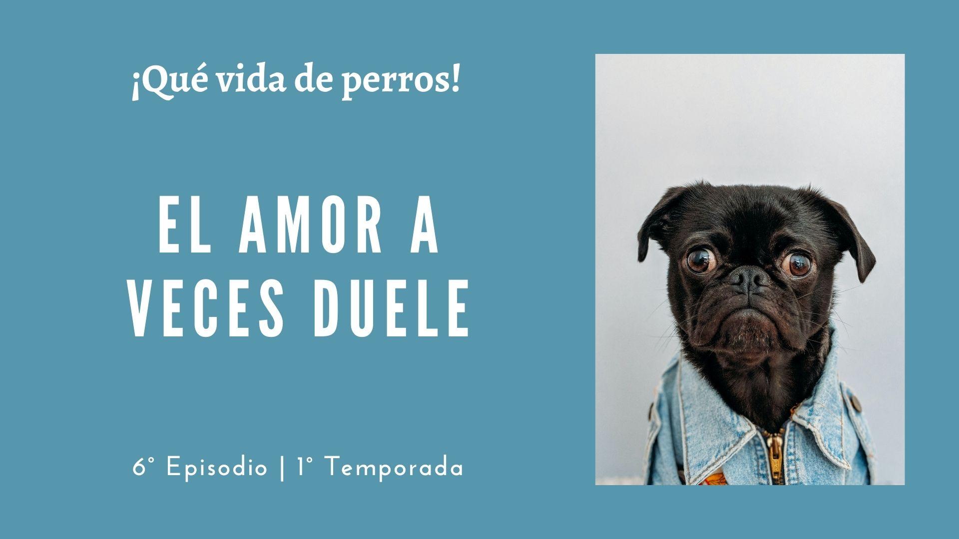 06 | El amor a veces duele