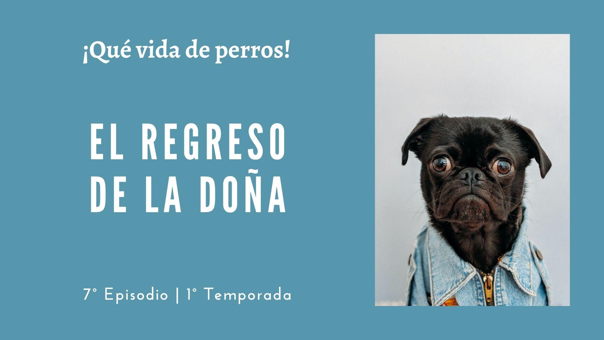 07 | El regreso de la Doña