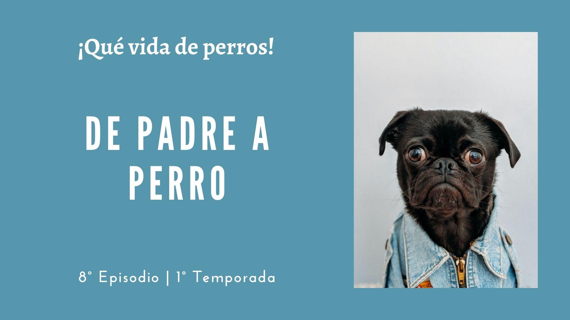 08 | De padre a perro