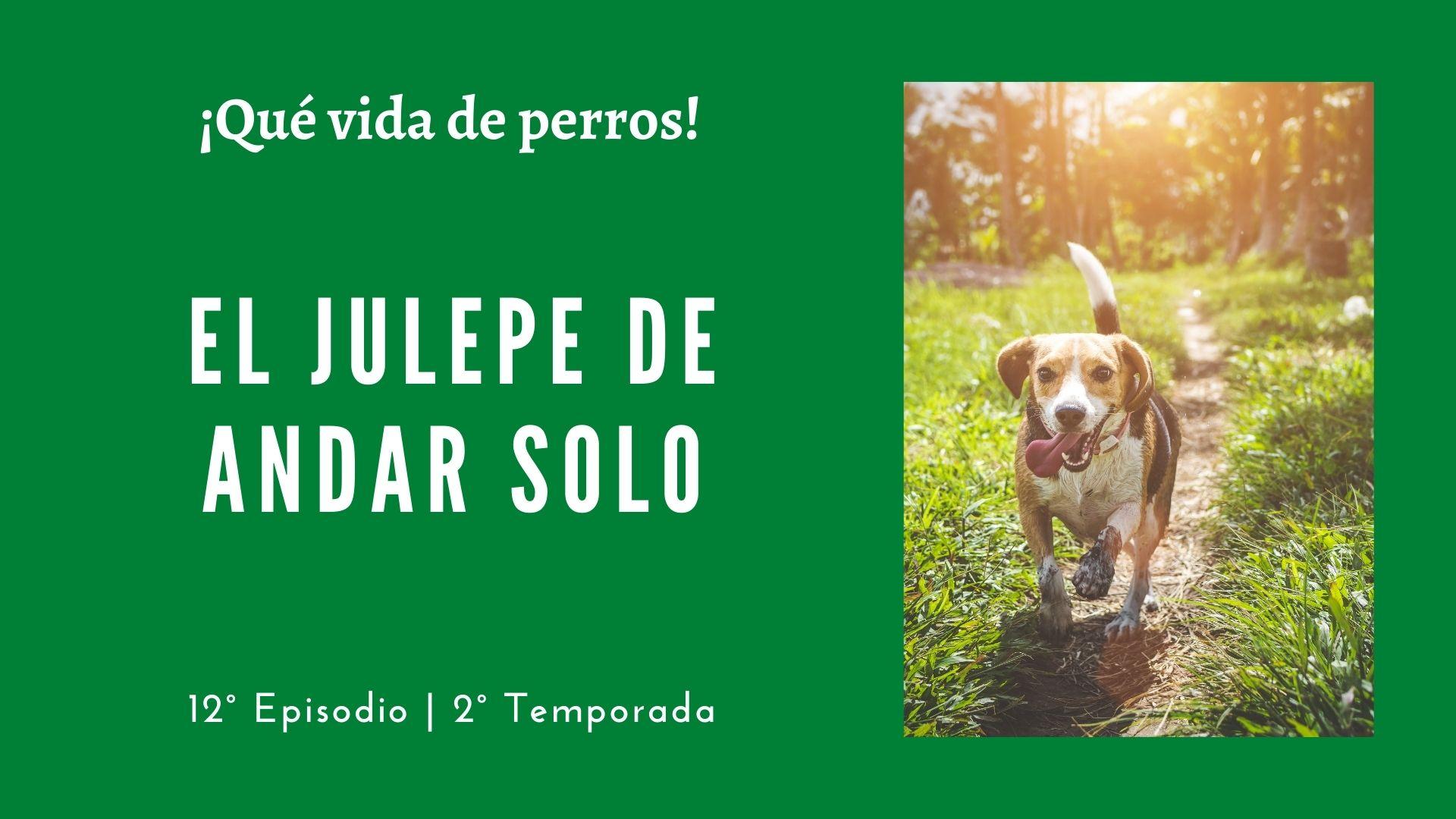 12 | El julepe de andar solo