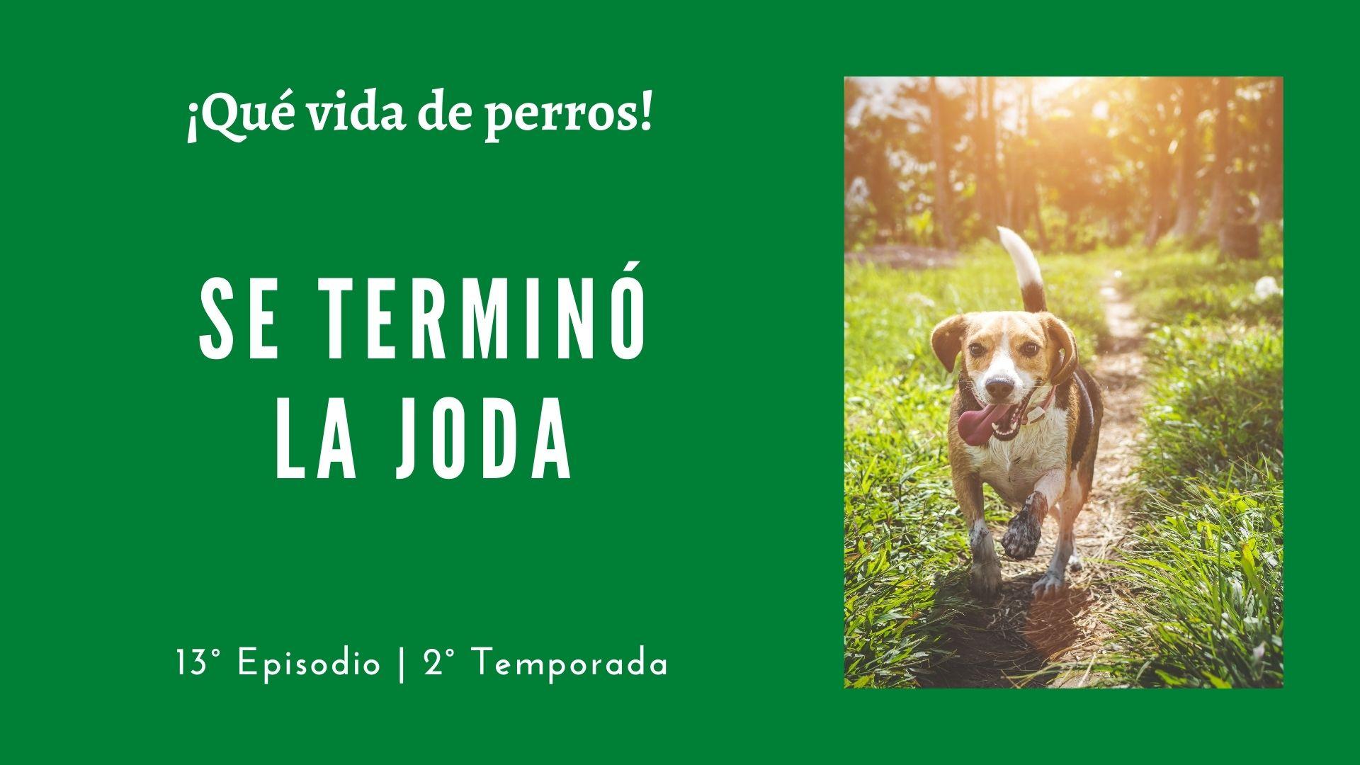 13 | Se terminó la joda