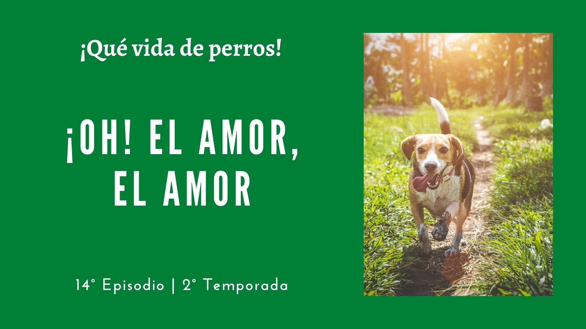 14 | ¡Oh! El amor, el amor