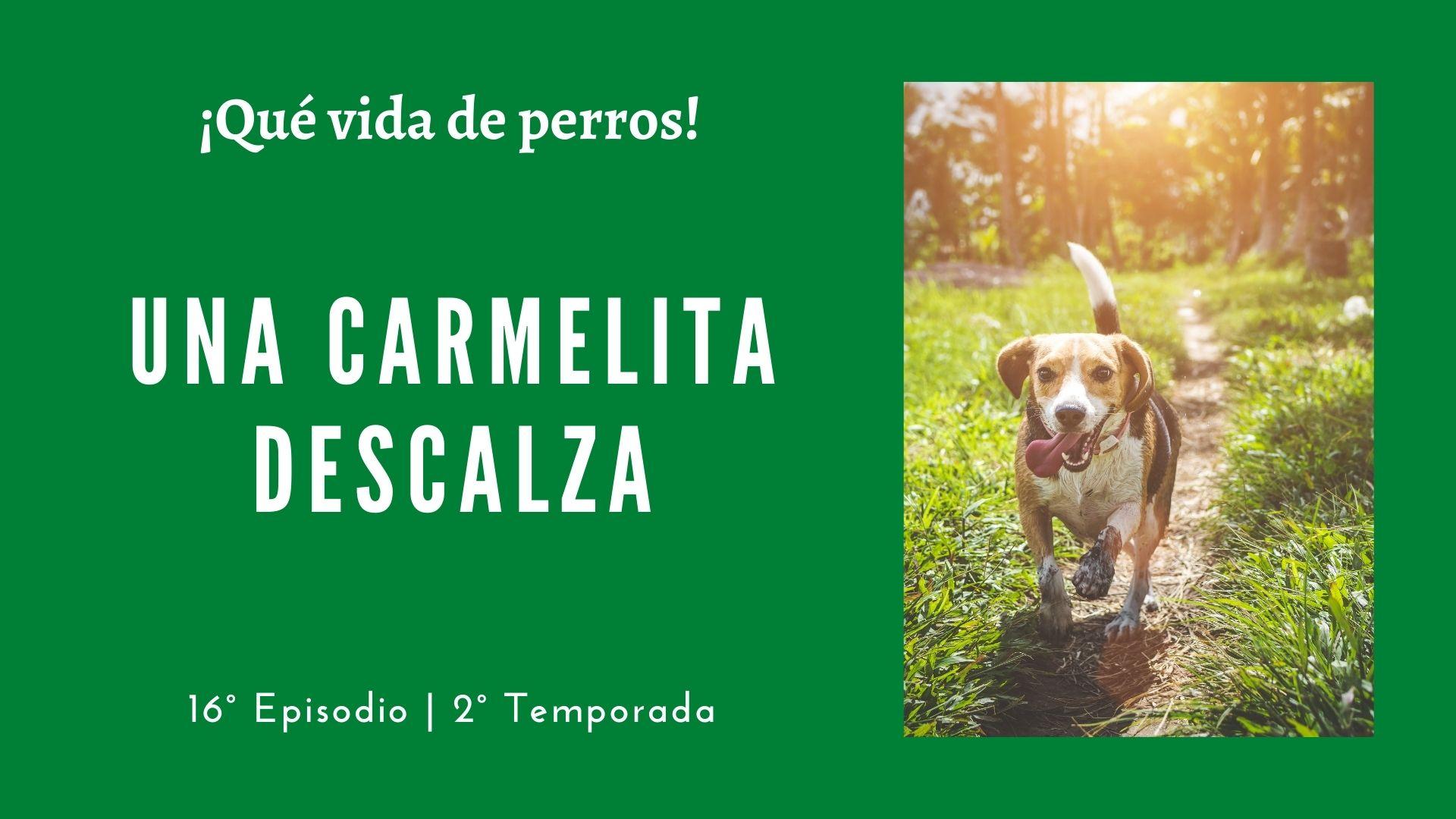 16 | Una carmelita descalza